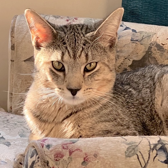 😍See something you must have? - Picture 9 of 16